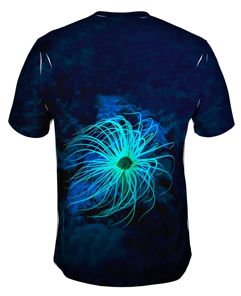 Glowing Underwater Coral Ceriantharia