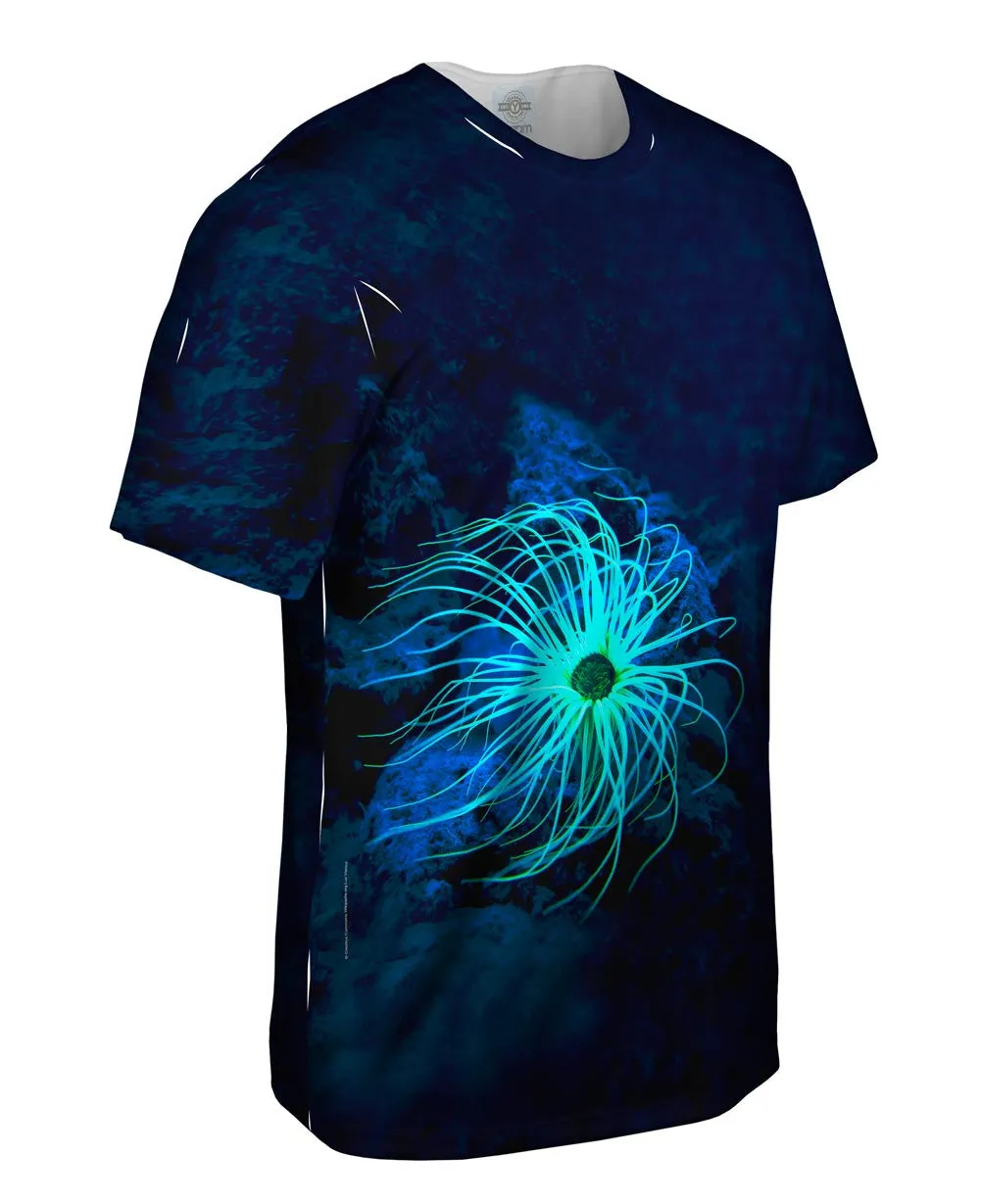 Glowing Underwater Coral Ceriantharia